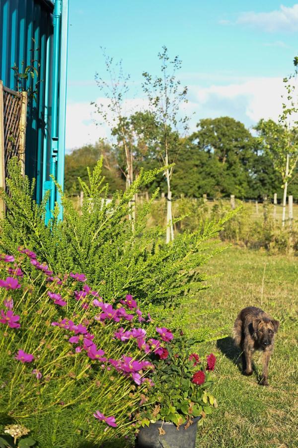 Delphinum Cabin Badsey Exterior foto